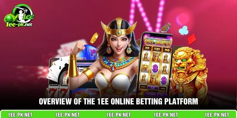 Overview of the 1EE online betting platform